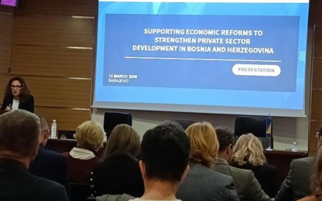 Podrška ekonomskim reformama za jačanje razvoja privatnog sektora u Bosni i Hercegovini